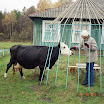 andrey0053.JPG