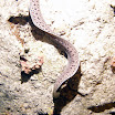 PB211764-1.JPG