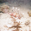 PB211765-1.JPG