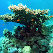 PB211719-1.JPG