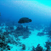 PB201471-1.JPG