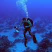 PB201479-1.JPG
