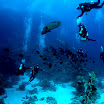 PB201519-1.JPG