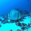 PB201518-1.JPG