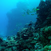 PB201552-1.JPG