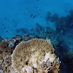 PB201564-1.JPG