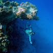 PB201585-1.JPG