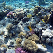 PB201590-1.JPG