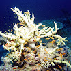 PB201605-1.JPG