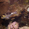 PB201634-1.JPG
