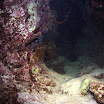 PB201654-1.JPG
