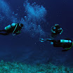 PB211666-1.JPG