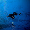 PB211696-1.JPG