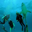 PB242027-1.JPG