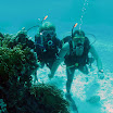 PB242031-1.JPG