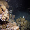 PB211773-h2.jpg