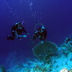 Красное море ноябрь 2007