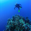 PB221802-1.JPG