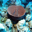 PB221803-1.JPG