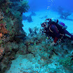PB221823-1.JPG