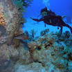 PB221825-1.JPG