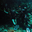 PB221831-1.JPG
