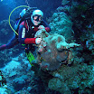 PB221839-1.JPG