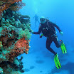 PB221848-1.JPG