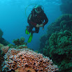 PB221870-1.JPG