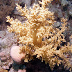 PB221881-1.JPG