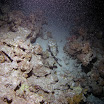 PB221885-1.JPG