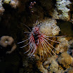 PB221894-1.JPG