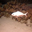 PB221900-1.JPG