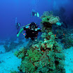 PB231913-1.JPG