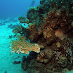 PB231930-1.JPG