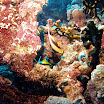 PB231966-1.JPG