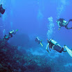 PB231972-1.JPG