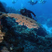 PB231975-1.JPG