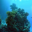 PB231995-1.JPG