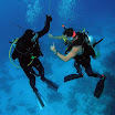 PB232008-1.JPG