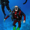 PB232010-1.JPG