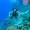 DSC_0314-t.JPG