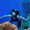 DSC_0372-t.JPG