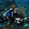 DSC_0526-t.JPG