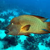 DSC0158-t.JPG
