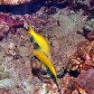 PB201493-t.JPG