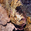 PB201510-t.JPG