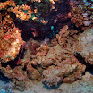 PB201528-t.JPG