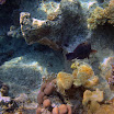 PB201575-t.JPG