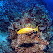PB201607-t.JPG
